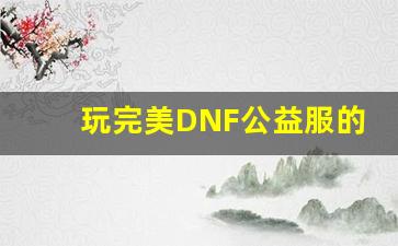 玩完美DNF公益服的五大理由