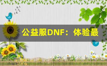 公益服DNF：体验最纯粹的游戏乐趣