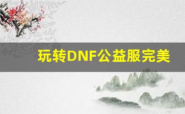 玩转DNF公益服完美二觉，提升游戏体验