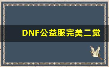 DNF公益服完美二觉引领新一波游戏热潮