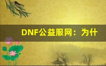 DNF公益服网：为什么它比官方服务器更具吸引力