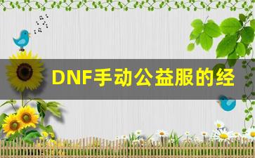 DNF手动公益服的经济系统如何影响玩家体验