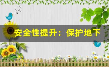 安全性提升：保护地下城私服免受攻击的措施