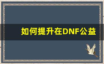 如何提升在DNF公益服中的游戏体验