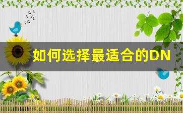 如何选择最适合的DNF长久公益服服务器