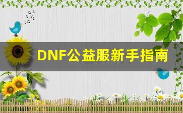 DNF公益服新手指南：如何快速上手