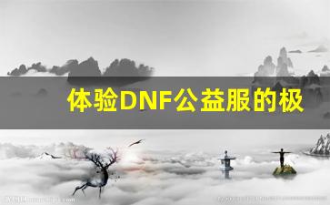 体验DNF公益服的极限挑战