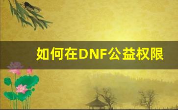 如何在DNF公益权限服中获得更多福利和奖励